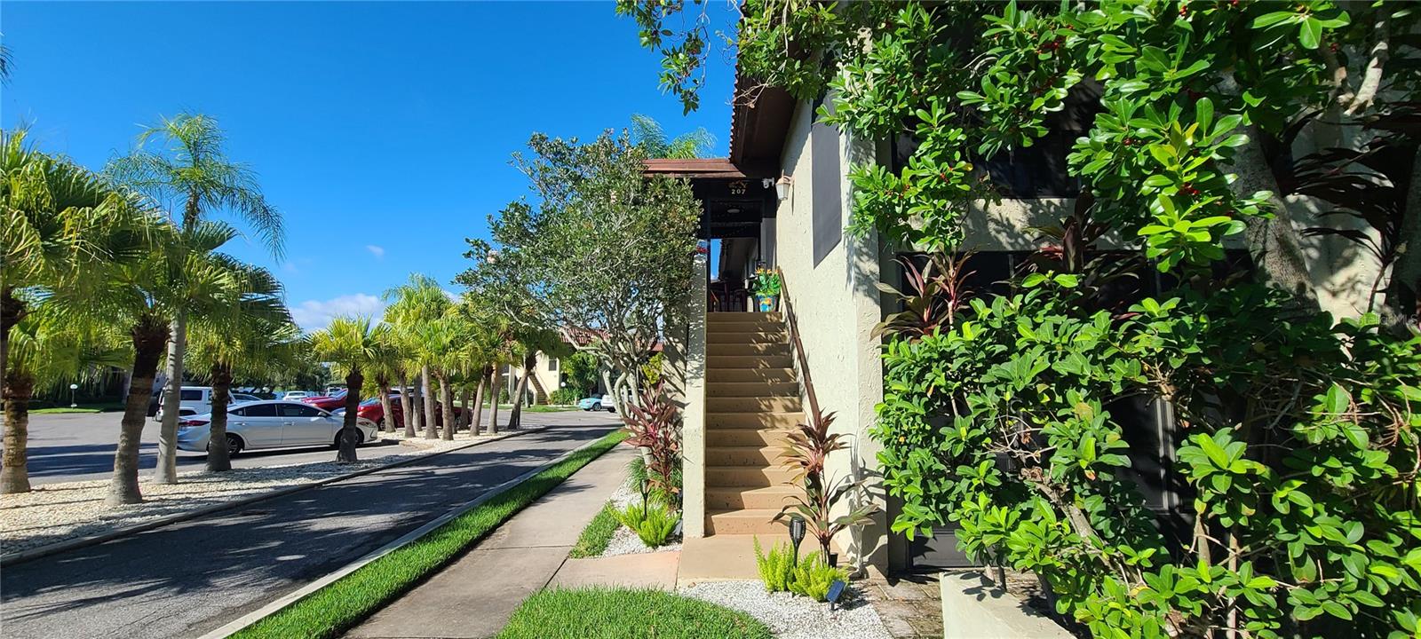 1003 S BAYSHORE BLVD #207, SAFETY HARBOR, FL, 34695