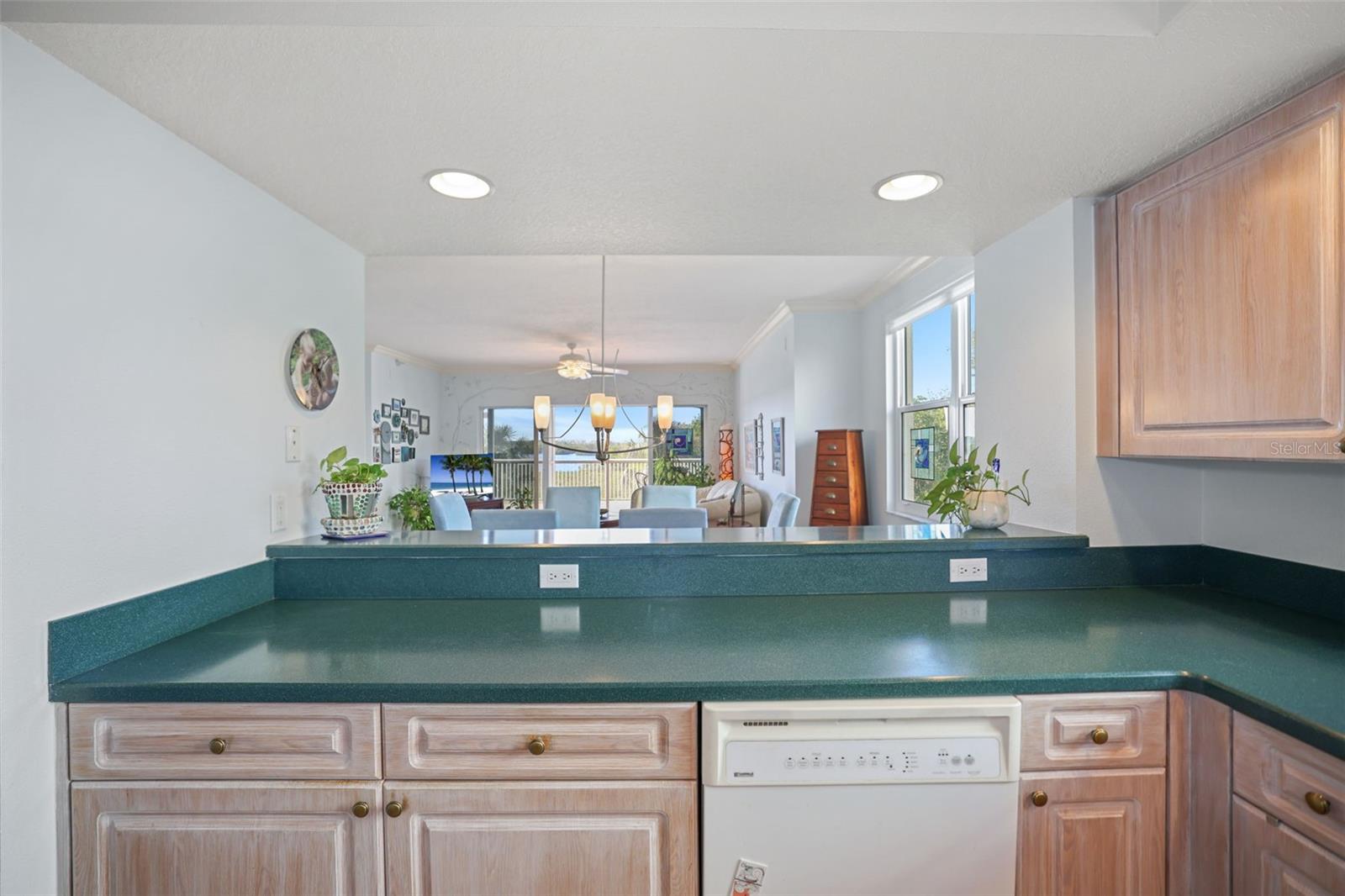 6495 SHORELINE DR #8106, ST PETERSBURG, FL, 33708