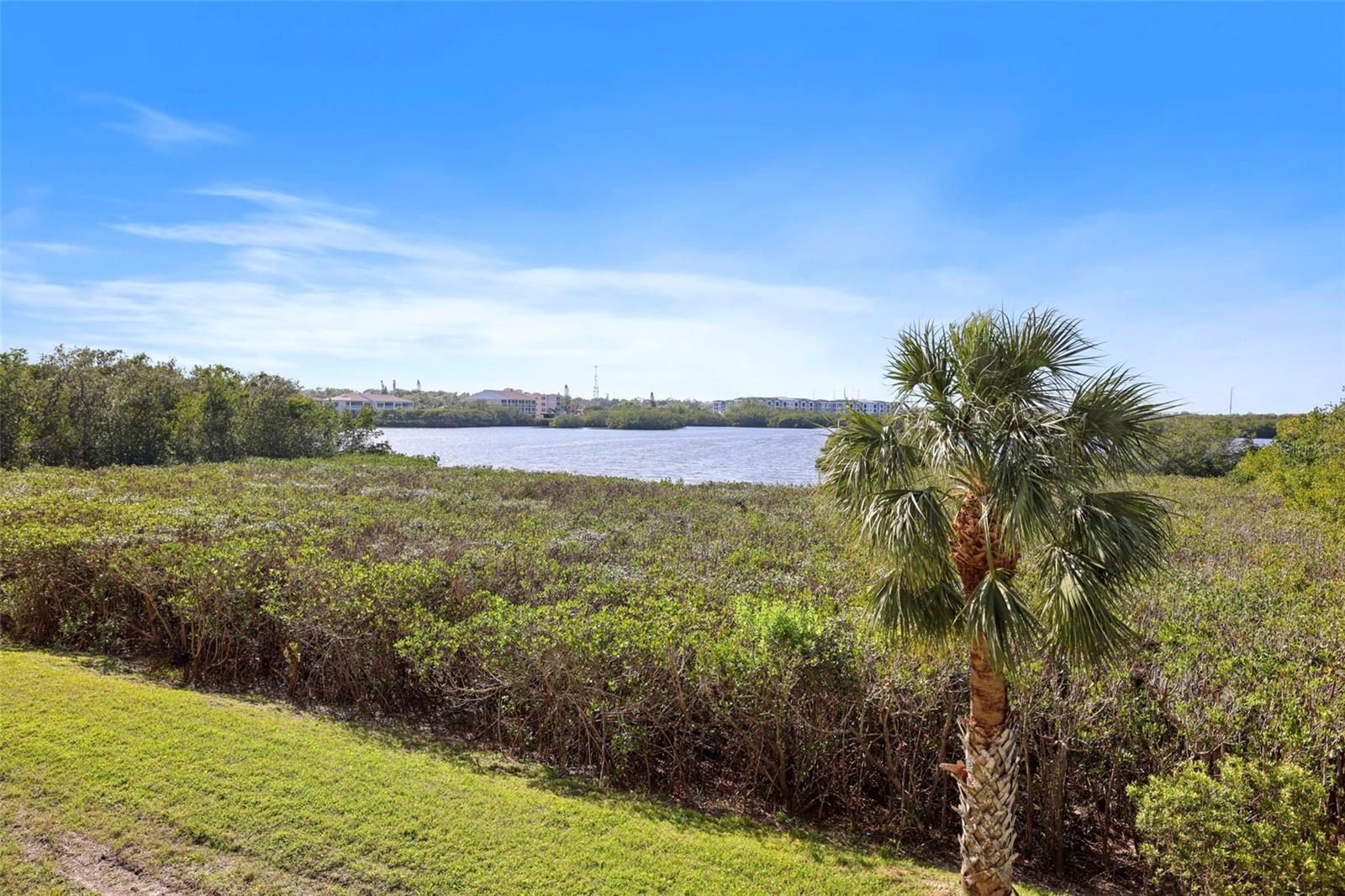 6495 SHORELINE DR #8106, ST PETERSBURG, FL, 33708
