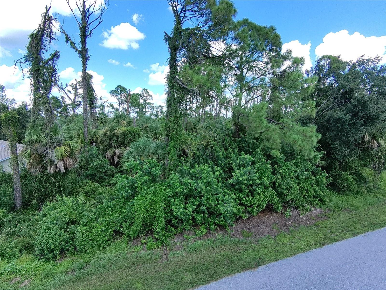 Lots 9 & 10 ROANOKE RD, NORTH PORT, FL, 34288