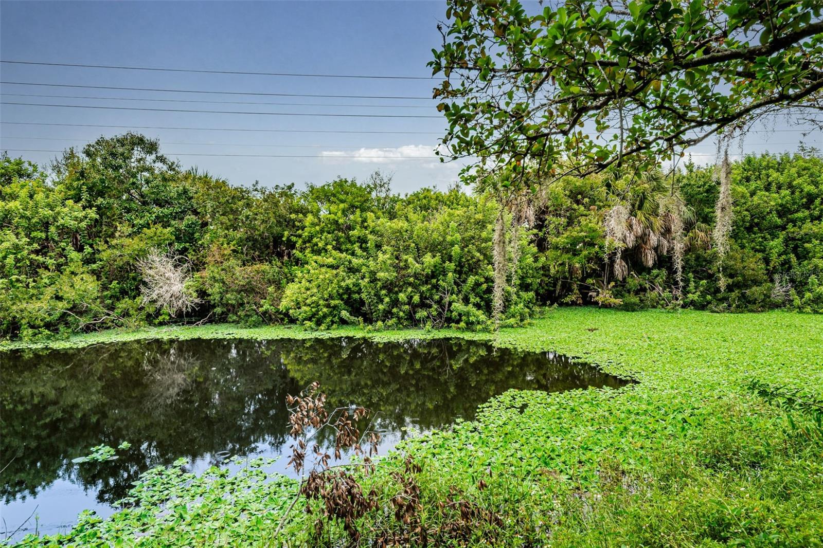 202 LAKE CHARLES CT, OLDSMAR, FL, 34677