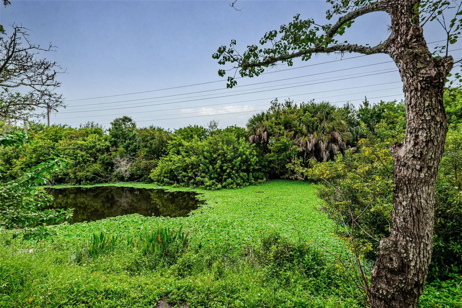202 LAKE CHARLES CT, OLDSMAR, FL, 34677