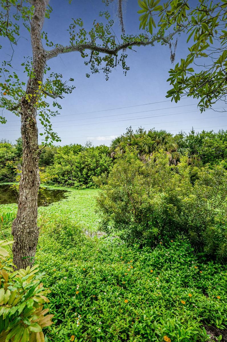 202 LAKE CHARLES CT, OLDSMAR, FL, 34677