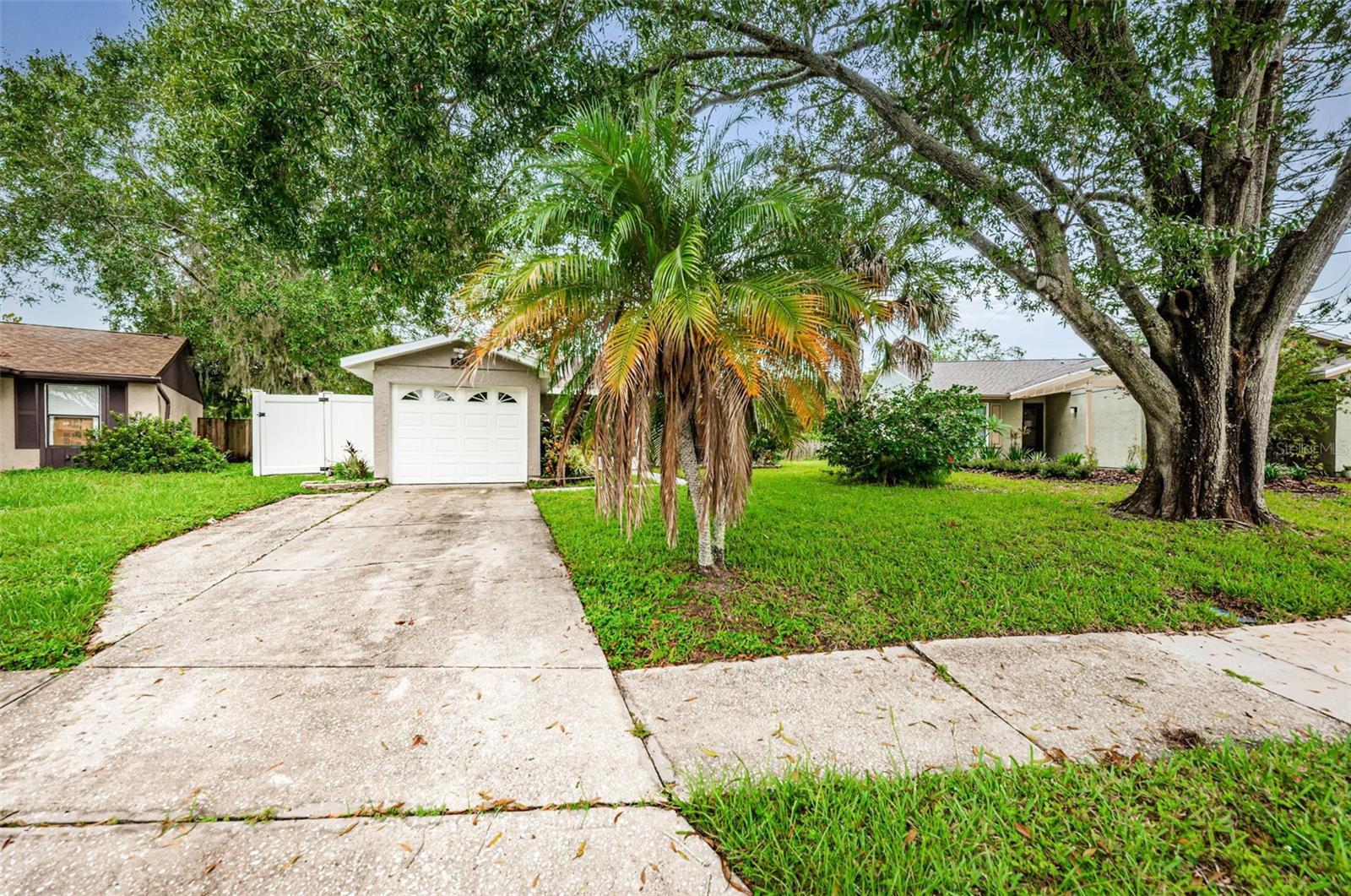202 LAKE CHARLES CT, OLDSMAR, FL, 34677