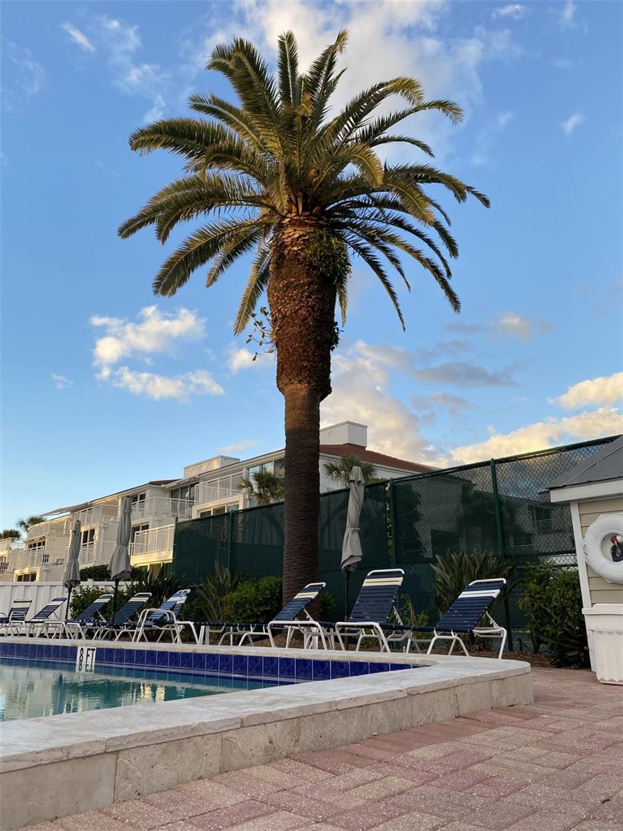 5055 GULF OF MEXICO DR #422, LONGBOAT KEY, FL, 34228