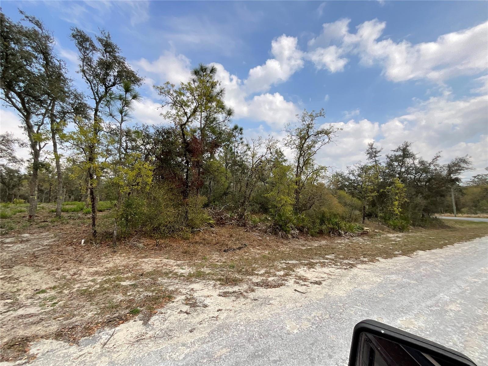 8110 RENOVA DR, WEBSTER, FL, 33597