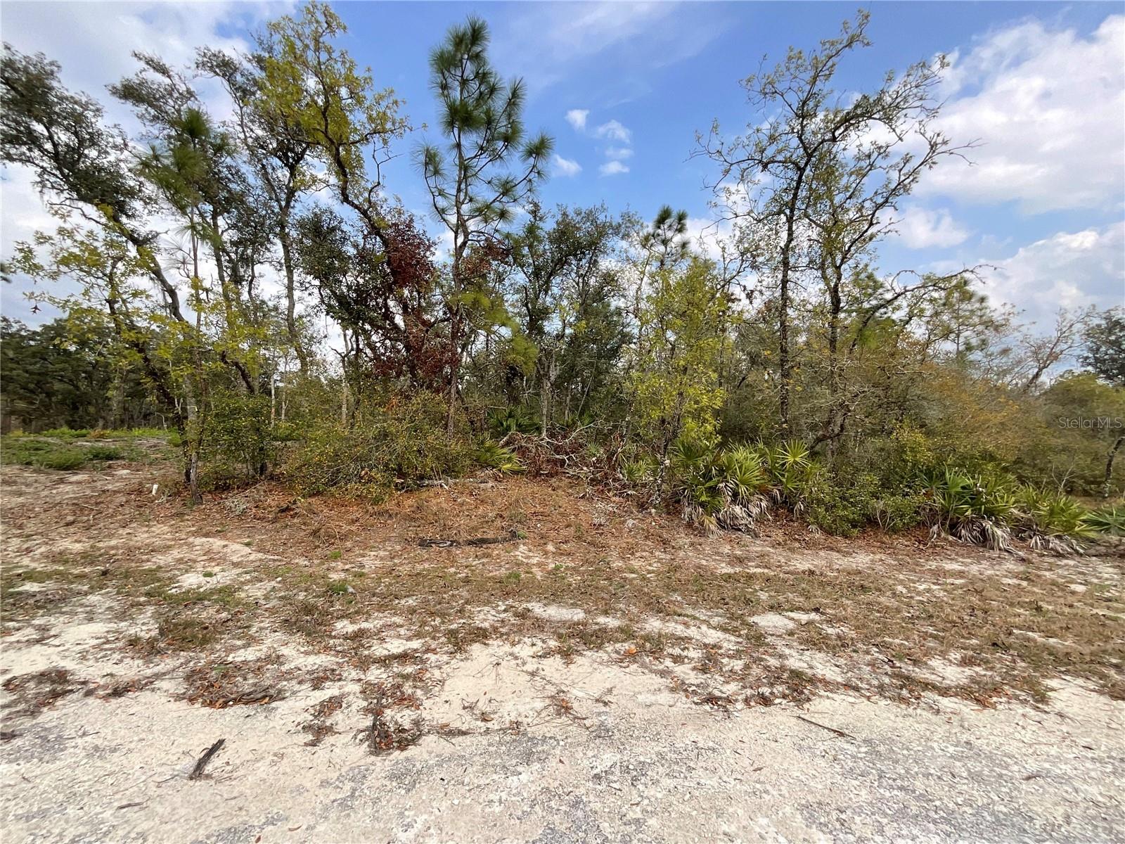 8110 RENOVA DR, WEBSTER, FL, 33597