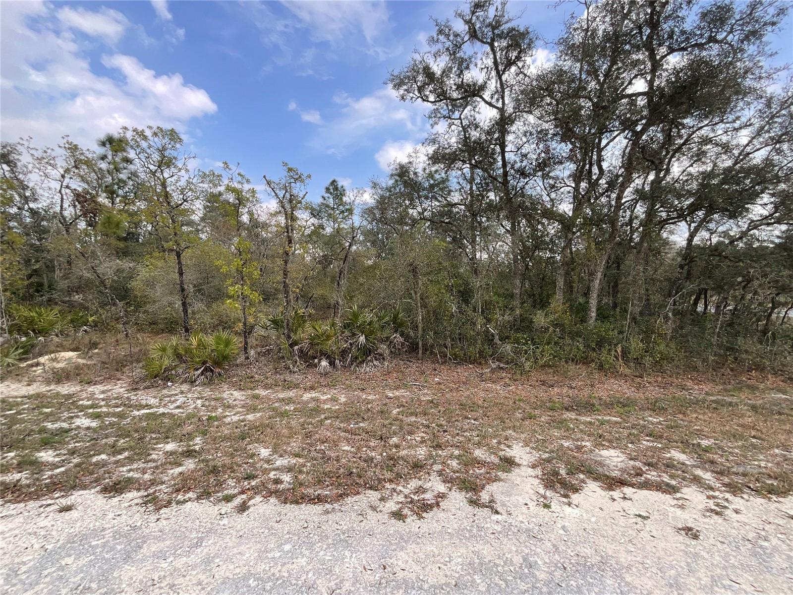 8110 RENOVA DR, WEBSTER, FL, 33597