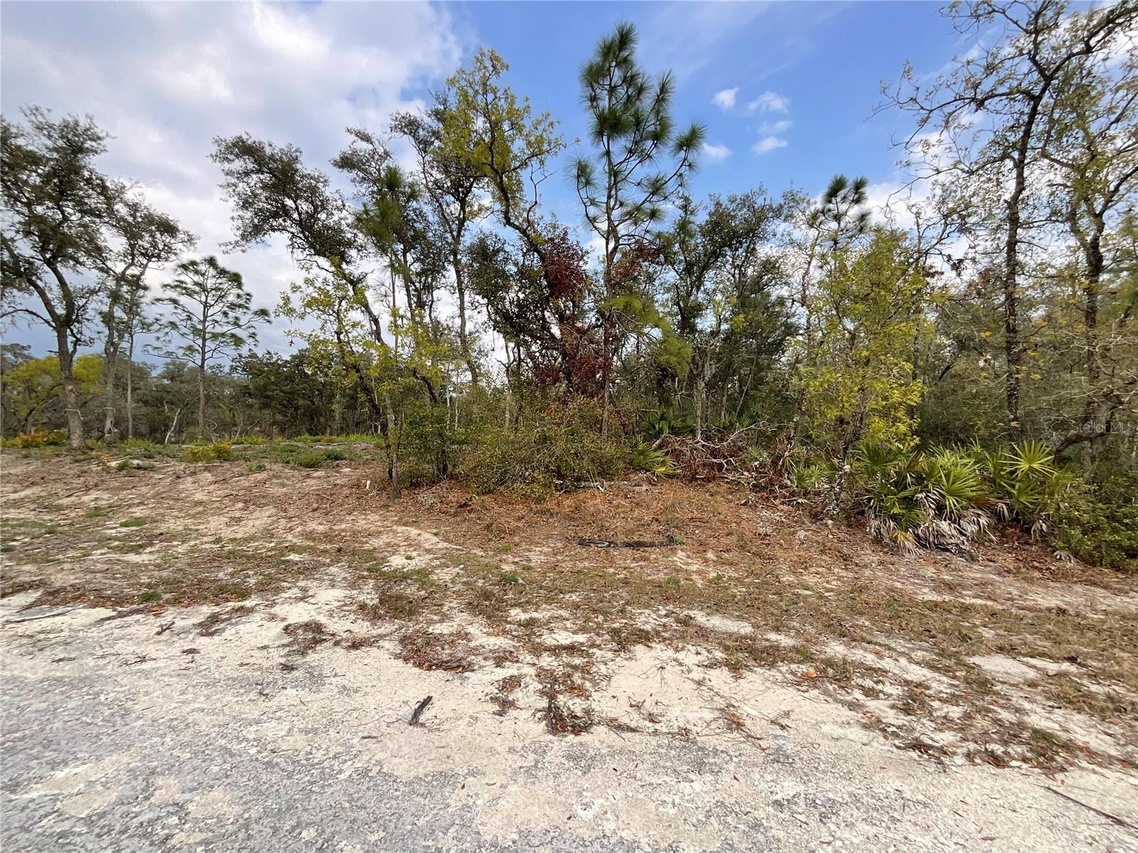 8110 RENOVA DR, WEBSTER, FL, 33597