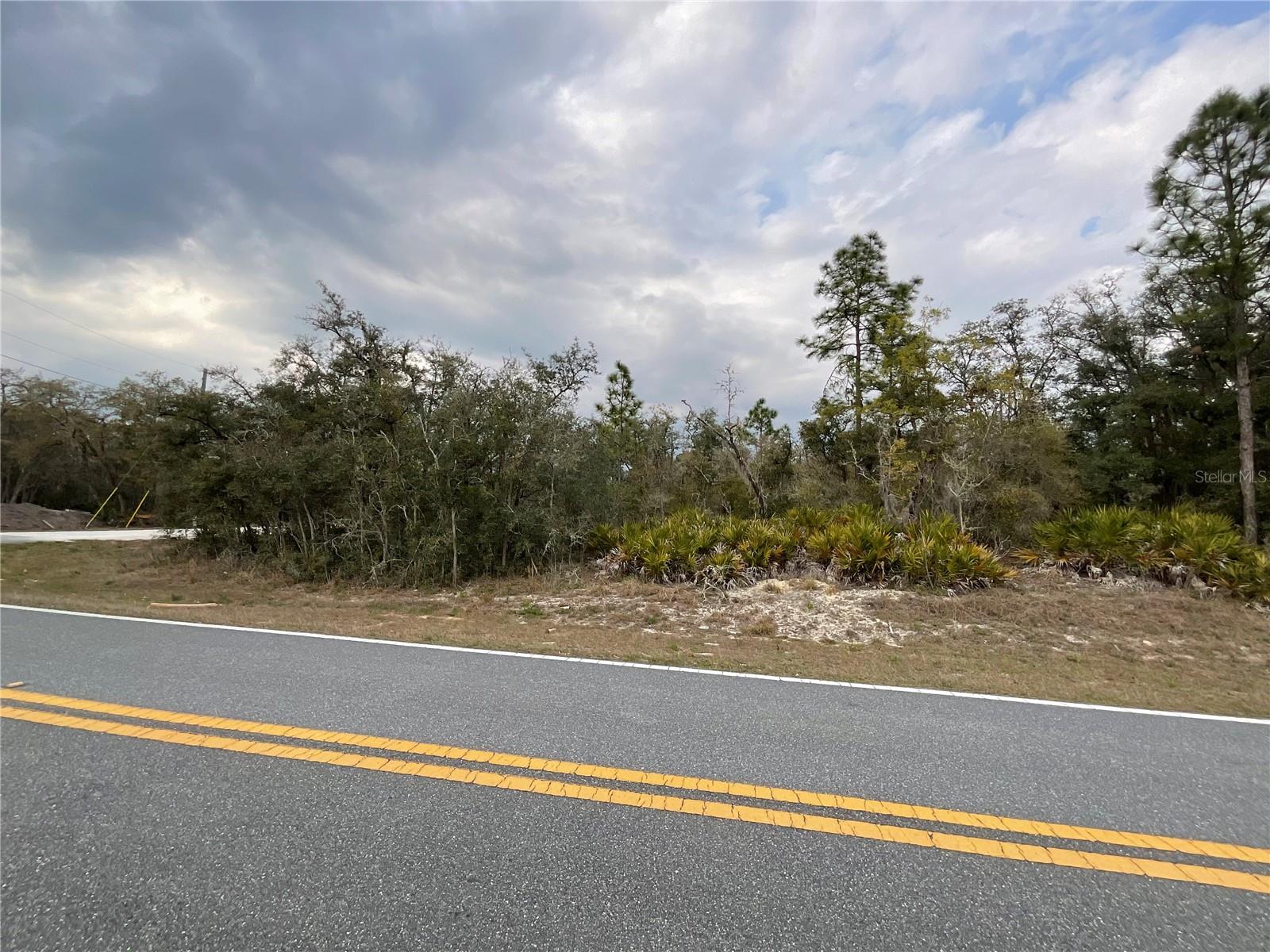8110 RENOVA DR, WEBSTER, FL, 33597