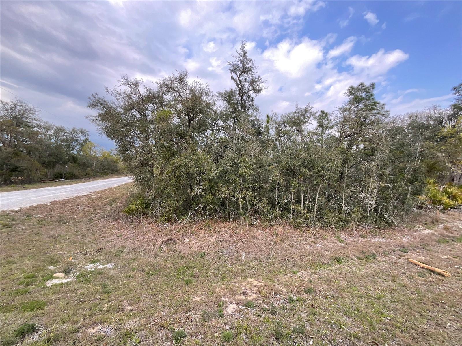 8110 RENOVA DR, WEBSTER, FL, 33597