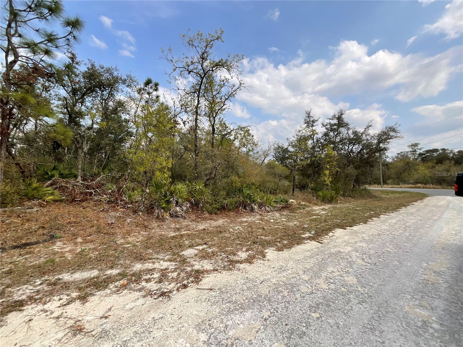 8110 RENOVA DR, WEBSTER, FL, 33597