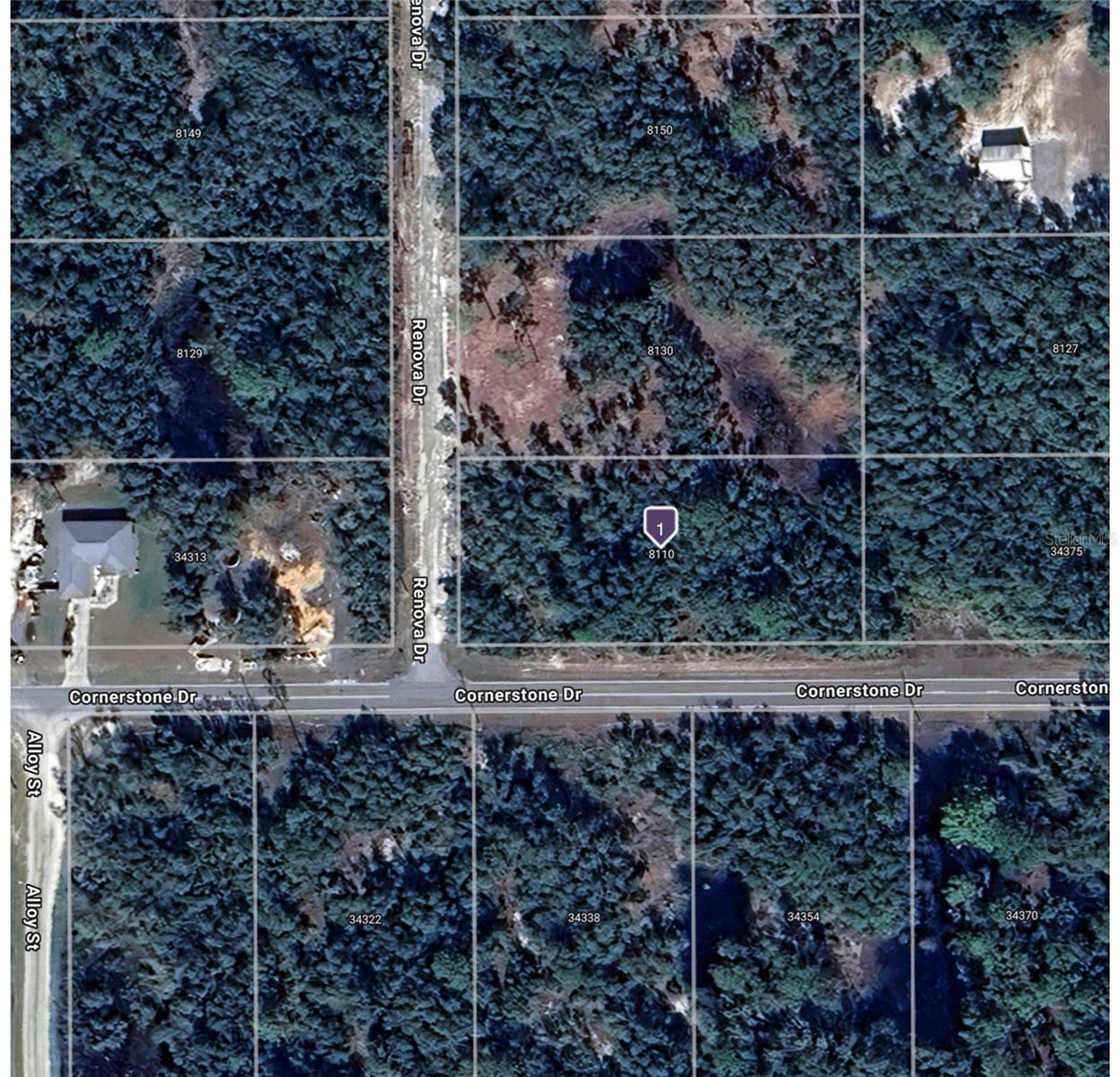 8110 RENOVA DR, WEBSTER, FL, 33597