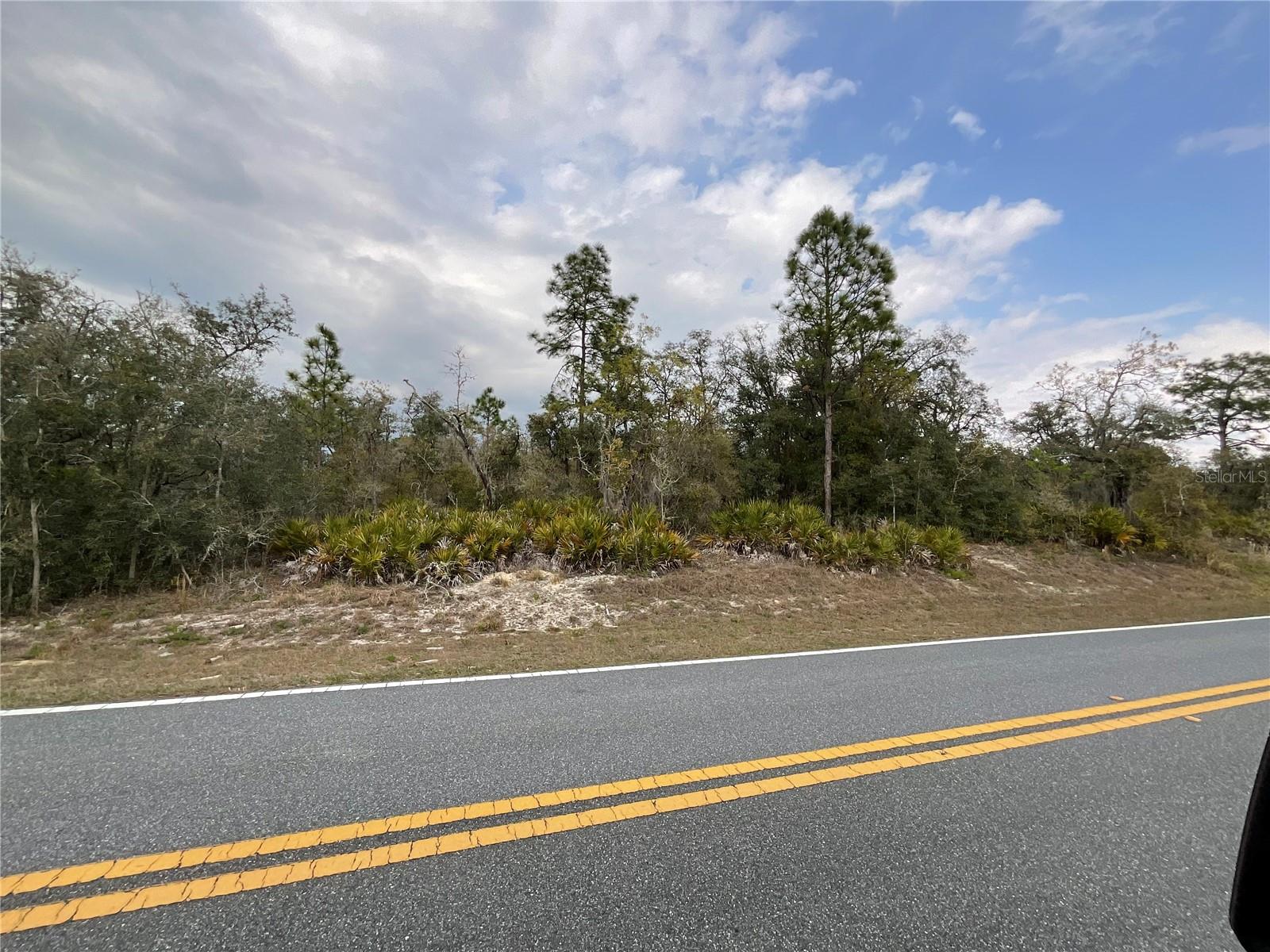 8110 RENOVA DR, WEBSTER, FL, 33597