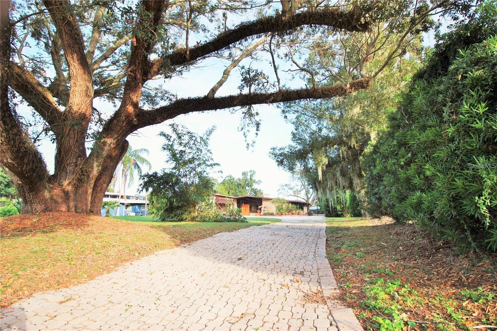 3313 TRENTWOOD BLVD, BELLE ISLE, FL, 32812