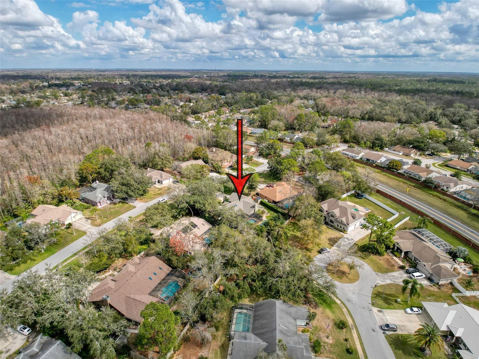 10136 HIGHCREST LN, NEW PORT RICHEY, FL, 34654