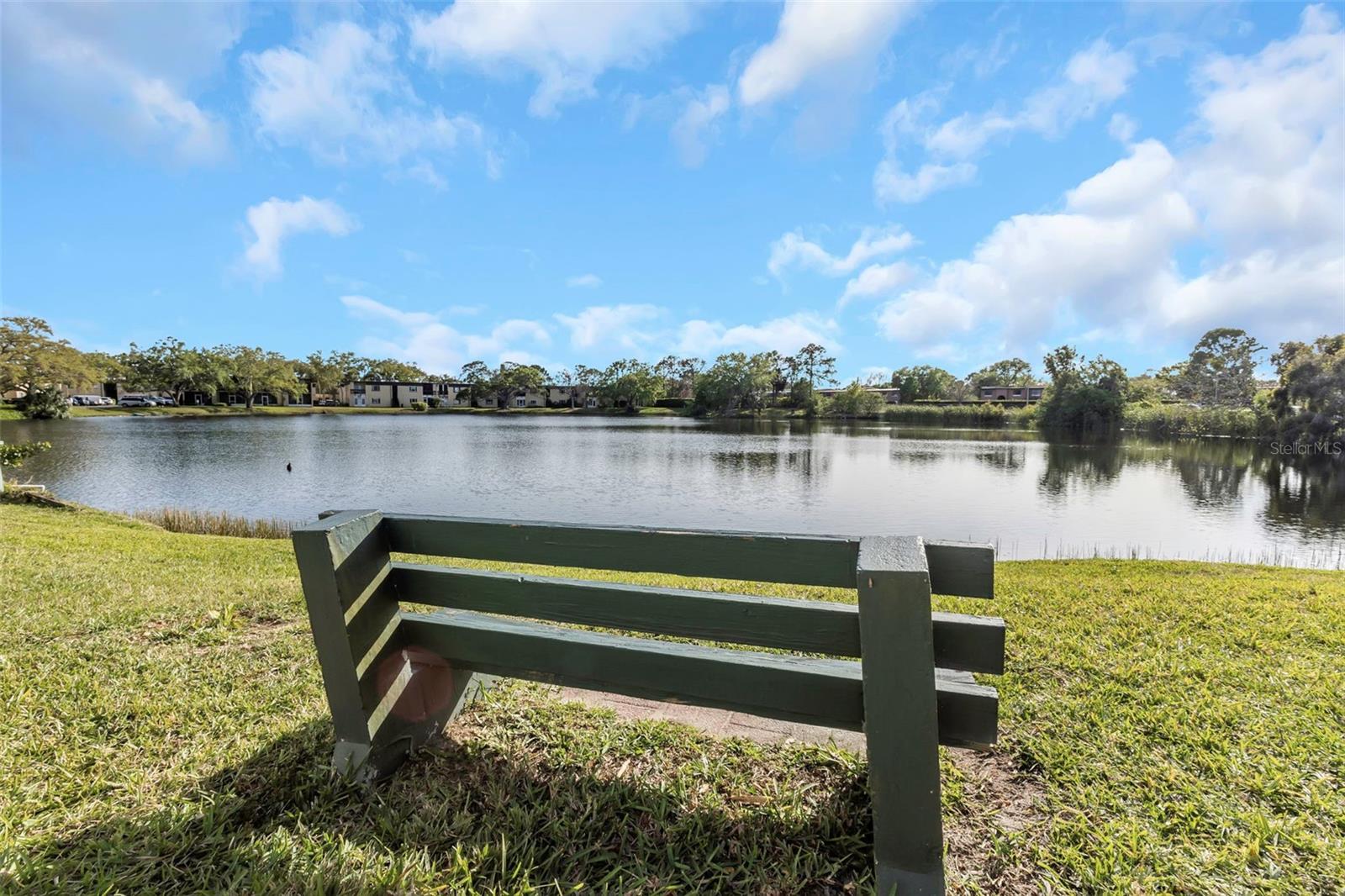 833 N KEENE RD #W25, CLEARWATER, FL, 33755