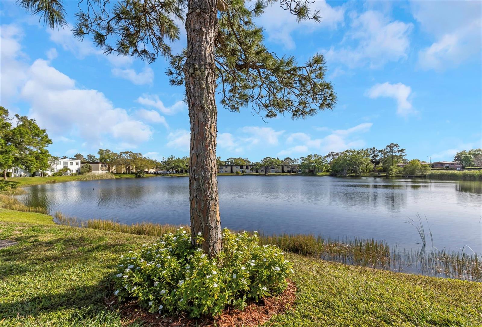833 N KEENE RD #W25, CLEARWATER, FL, 33755