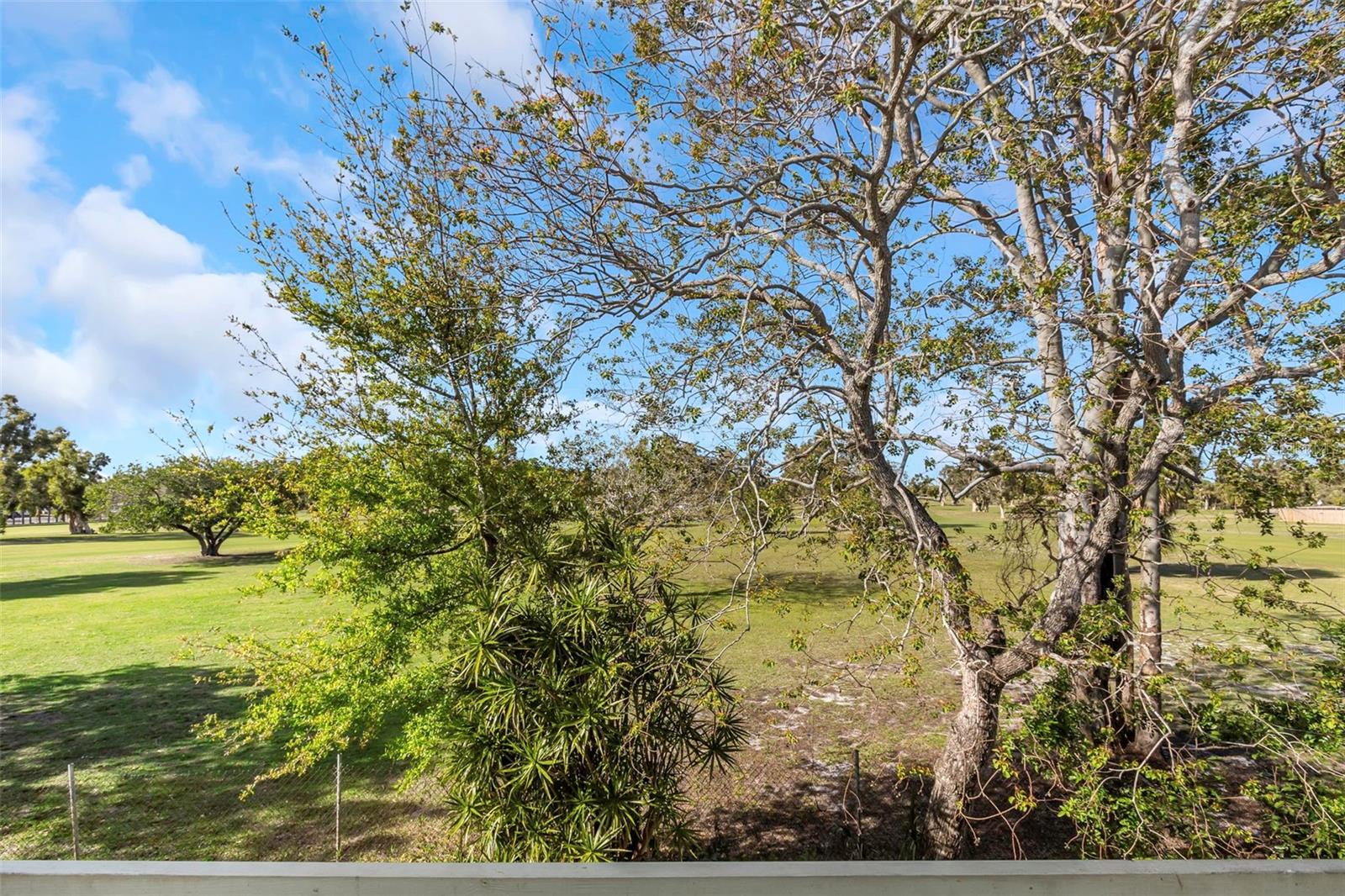 833 N KEENE RD #W25, CLEARWATER, FL, 33755