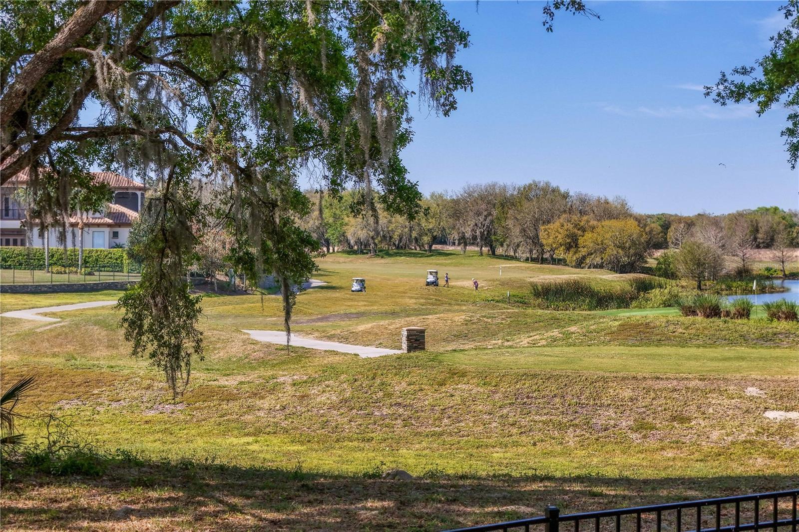 25854 CROSSINGS BLUFF LN, SORRENTO, FL, 32776