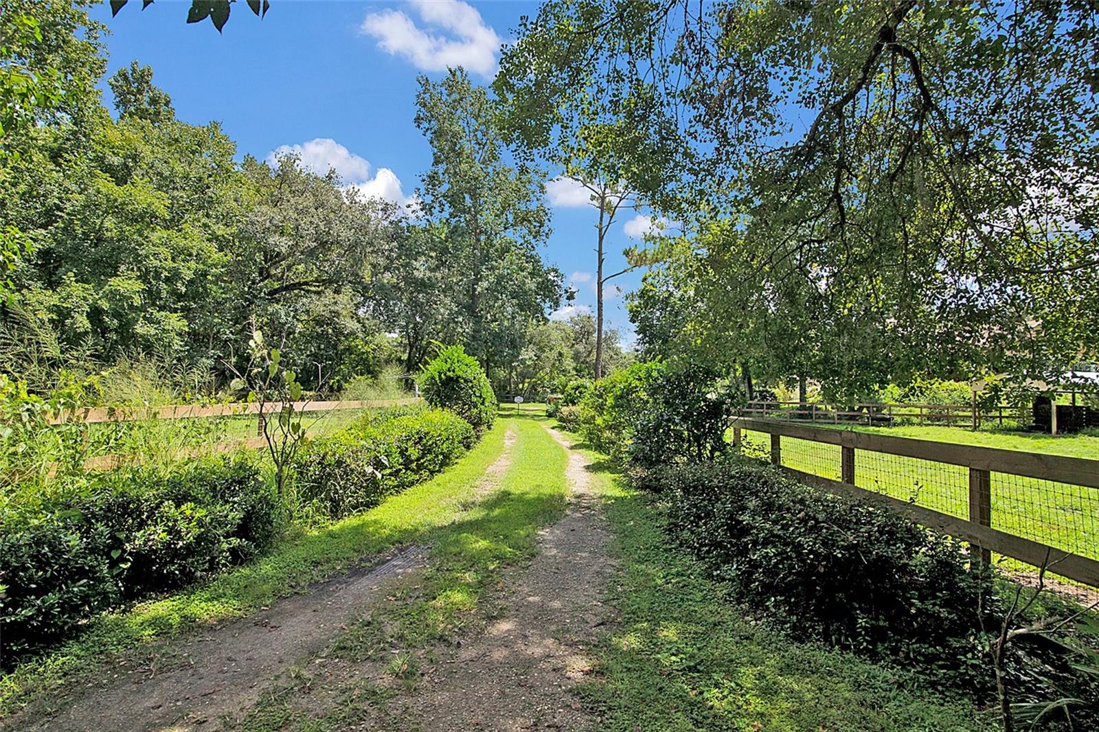 3149 SCRUB OAK TRL, OVIEDO, FL, 32765