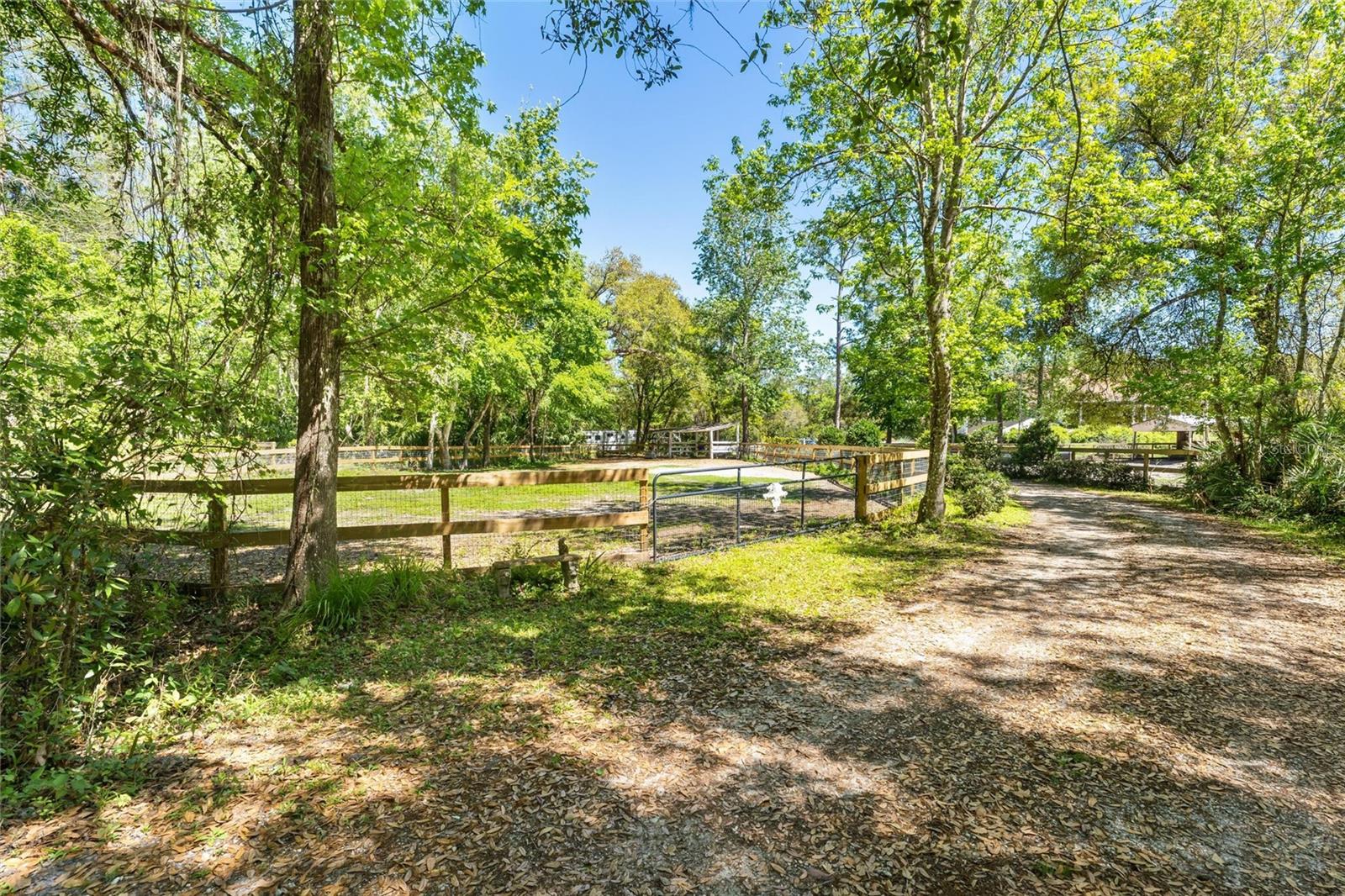 3149 SCRUB OAK TRL, OVIEDO, FL, 32765