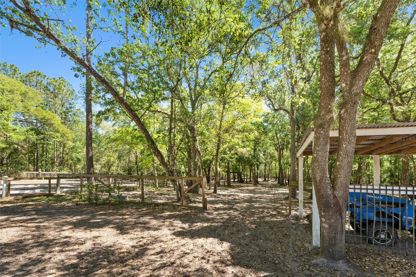 3149 SCRUB OAK TRL, OVIEDO, FL, 32765