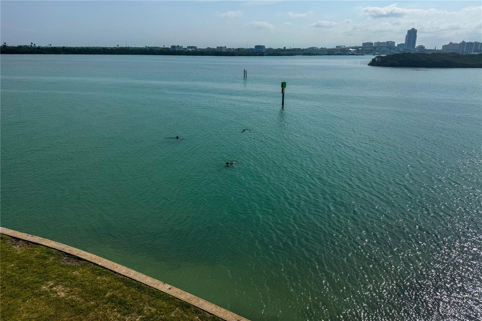 895 S GULFVIEW BLVD #309, CLEARWATER BEACH, FL, 33767