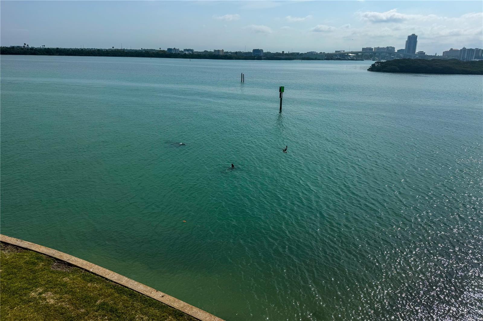 895 S GULFVIEW BLVD #309, CLEARWATER BEACH, FL, 33767