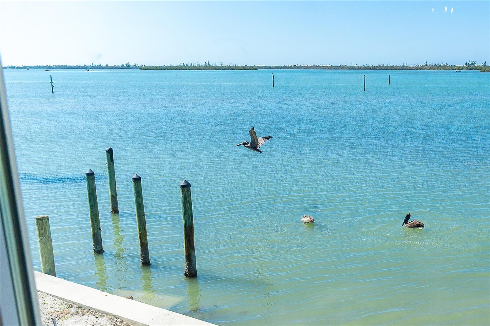 7500 PARK POINTE DR #22, ENGLEWOOD, FL, 34224