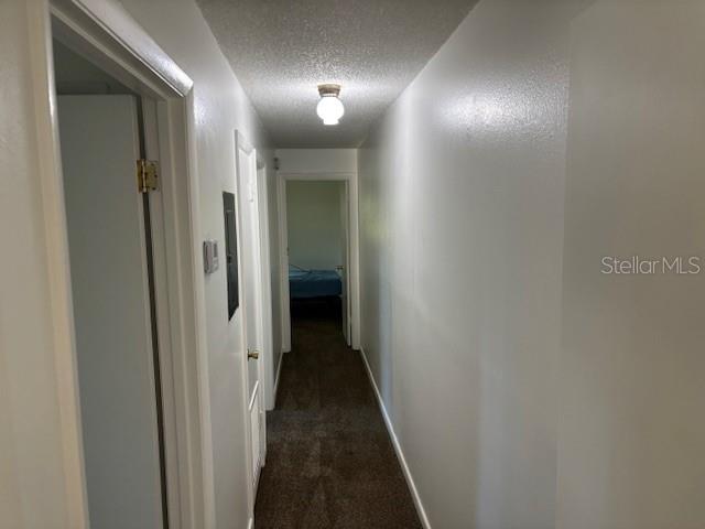 110 RUSER URY AVE #A-2, FRUITLAND PARK, FL, 34731