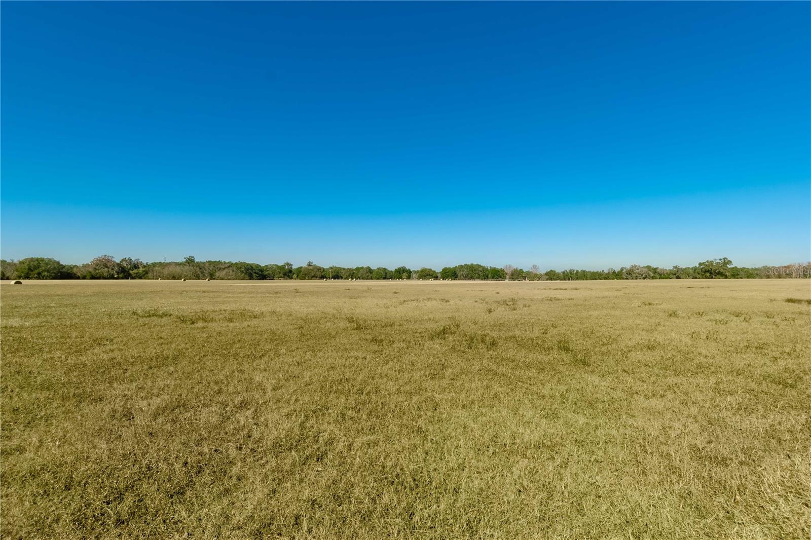 14140 N US HIGHWAY 301, CITRA, FL, 32113