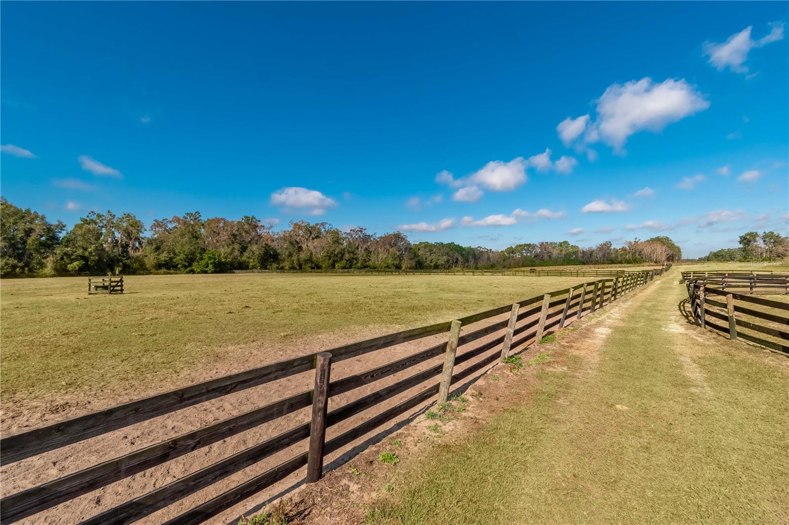 14140 N US HIGHWAY 301, CITRA, FL, 32113