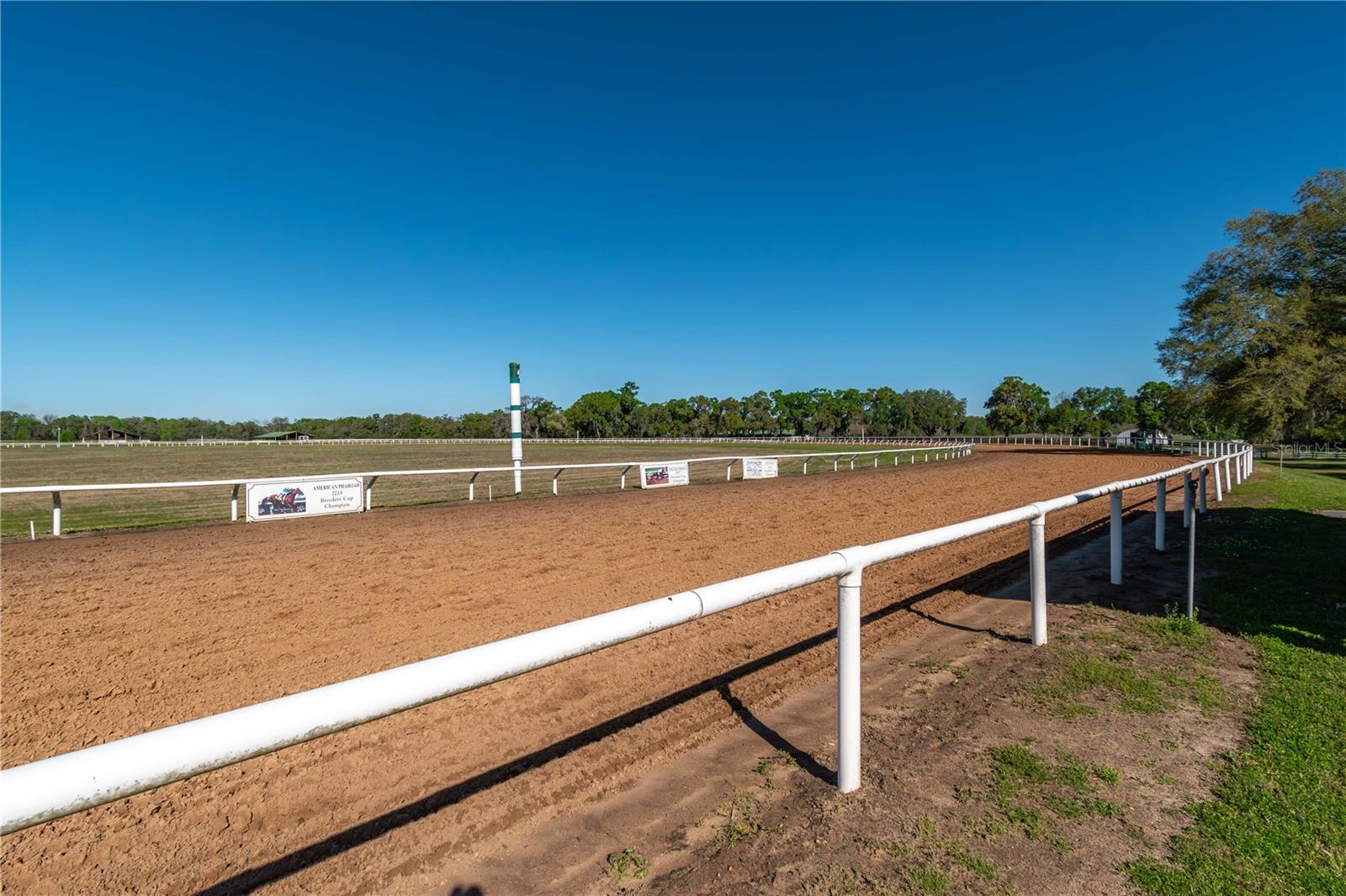 14140 N US HIGHWAY 301, CITRA, FL, 32113