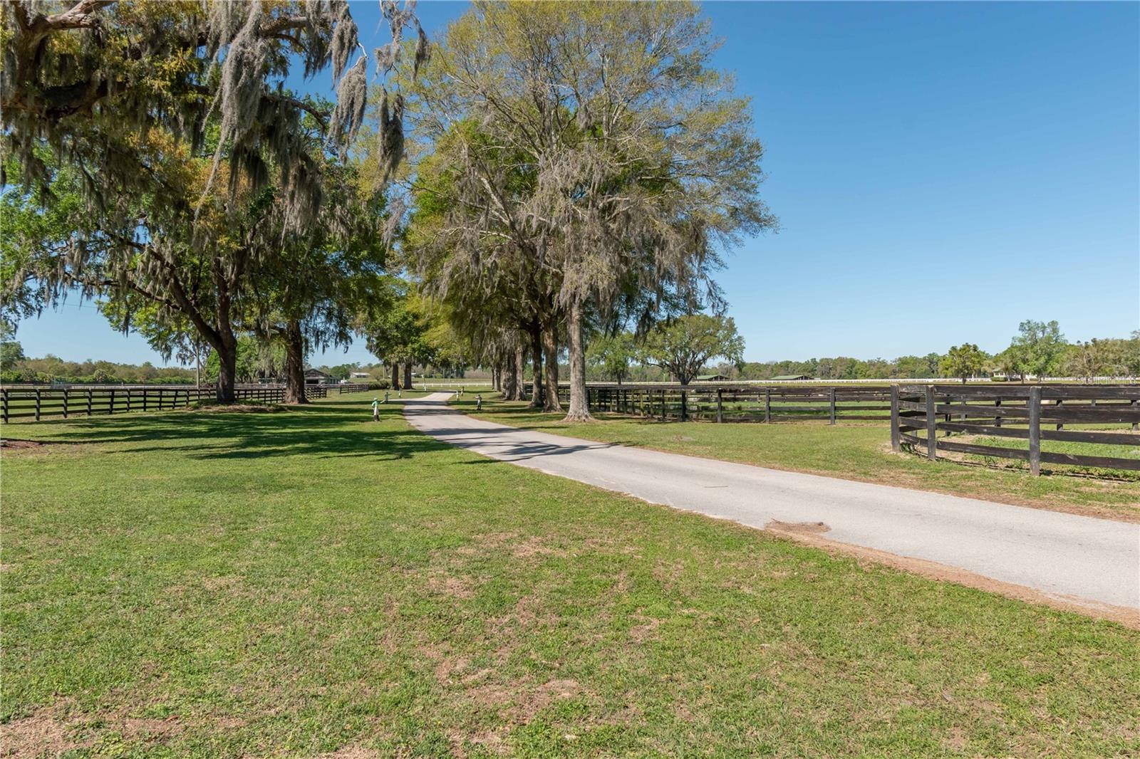 14140 N US HIGHWAY 301, CITRA, FL, 32113