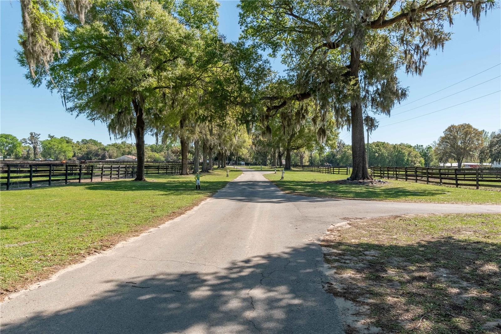 14140 N US HIGHWAY 301, CITRA, FL, 32113