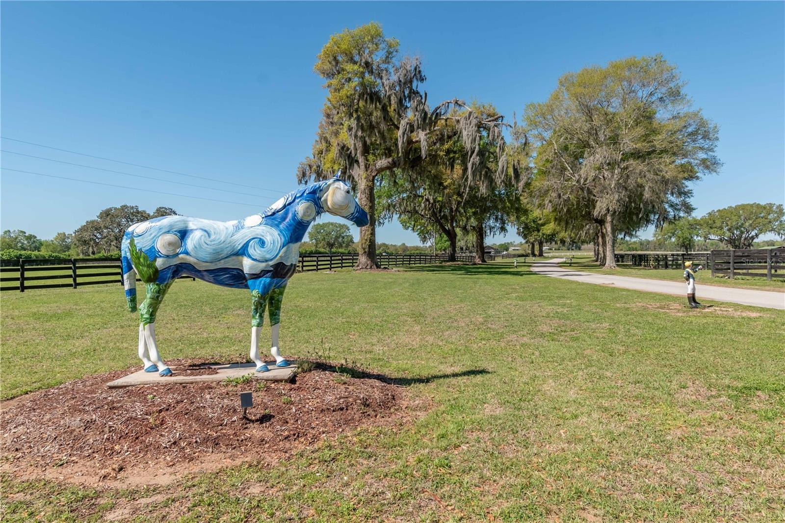 14140 N US HIGHWAY 301, CITRA, FL, 32113