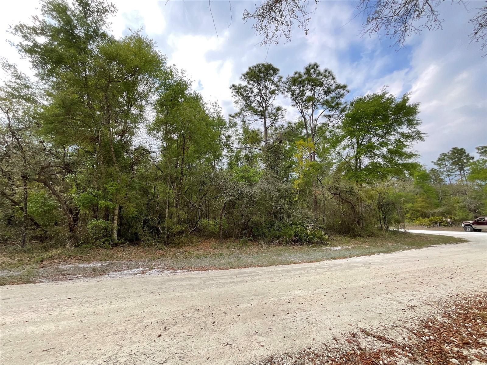 FORGE DR, WEBSTER, FL, 33597