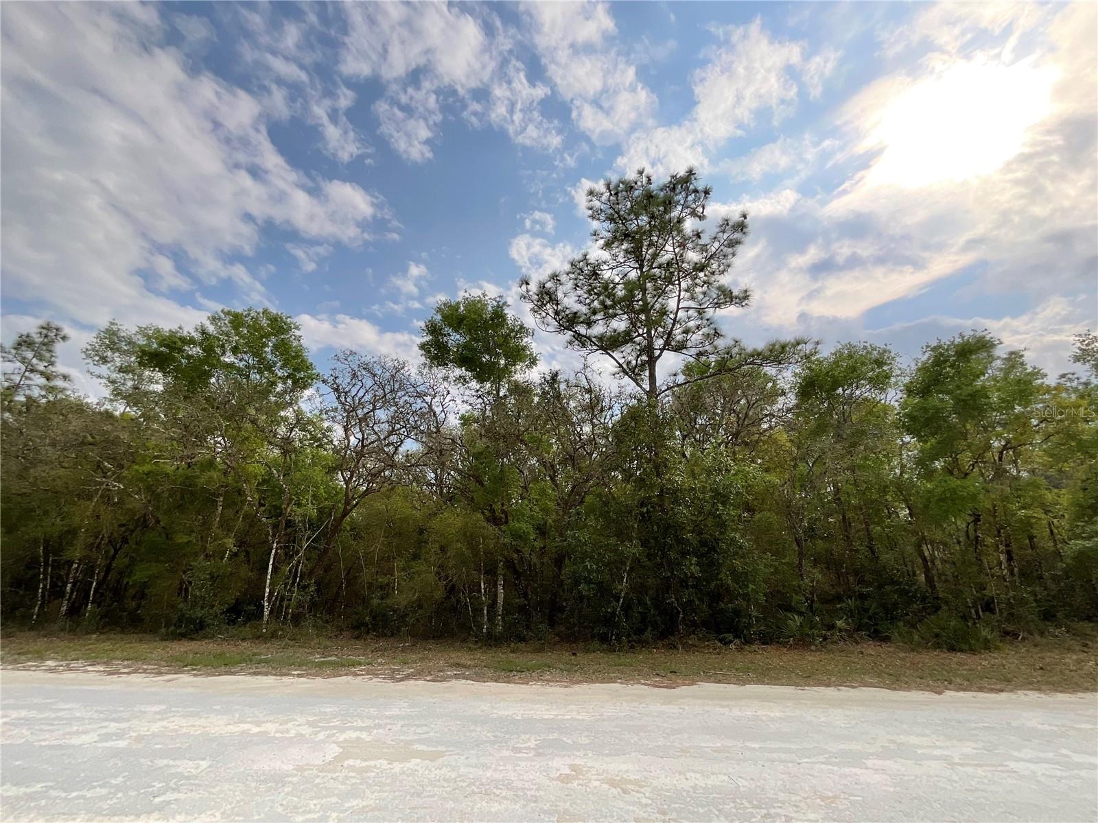 FORGE DR, WEBSTER, FL, 33597