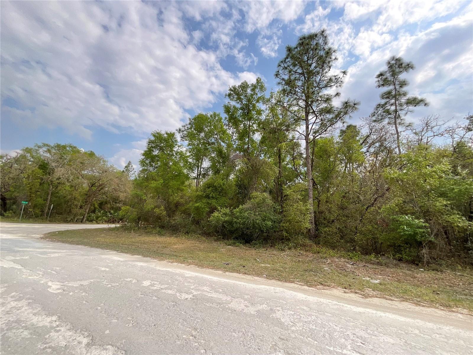 FORGE DR, WEBSTER, FL, 33597