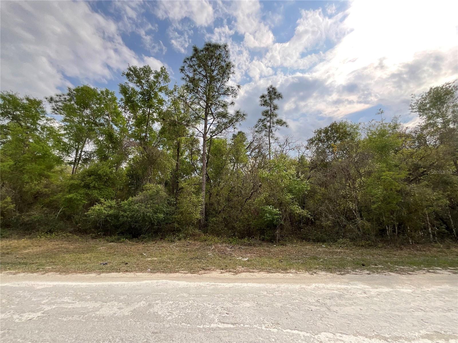 FORGE DR, WEBSTER, FL, 33597