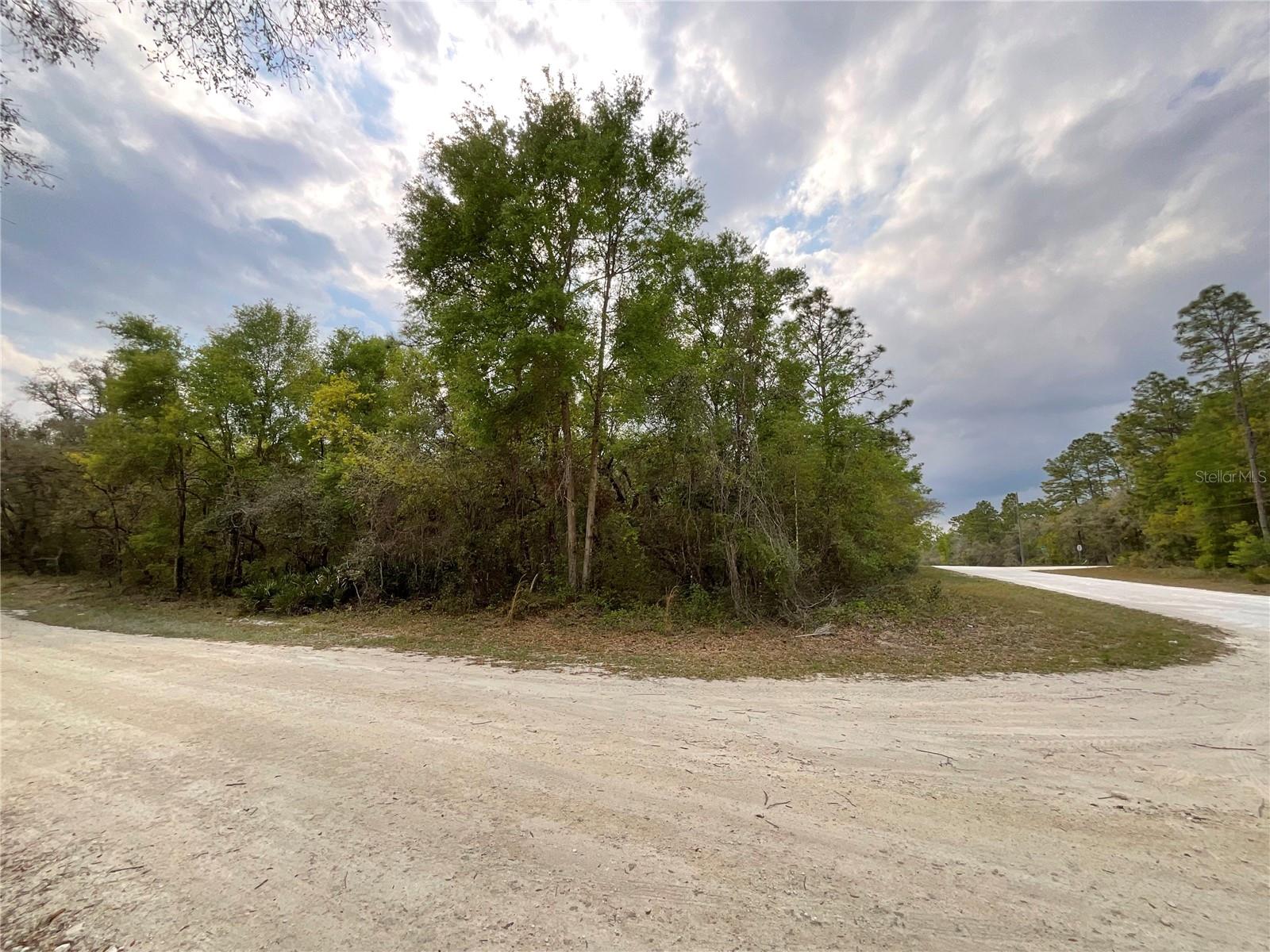 FORGE DR, WEBSTER, FL, 33597