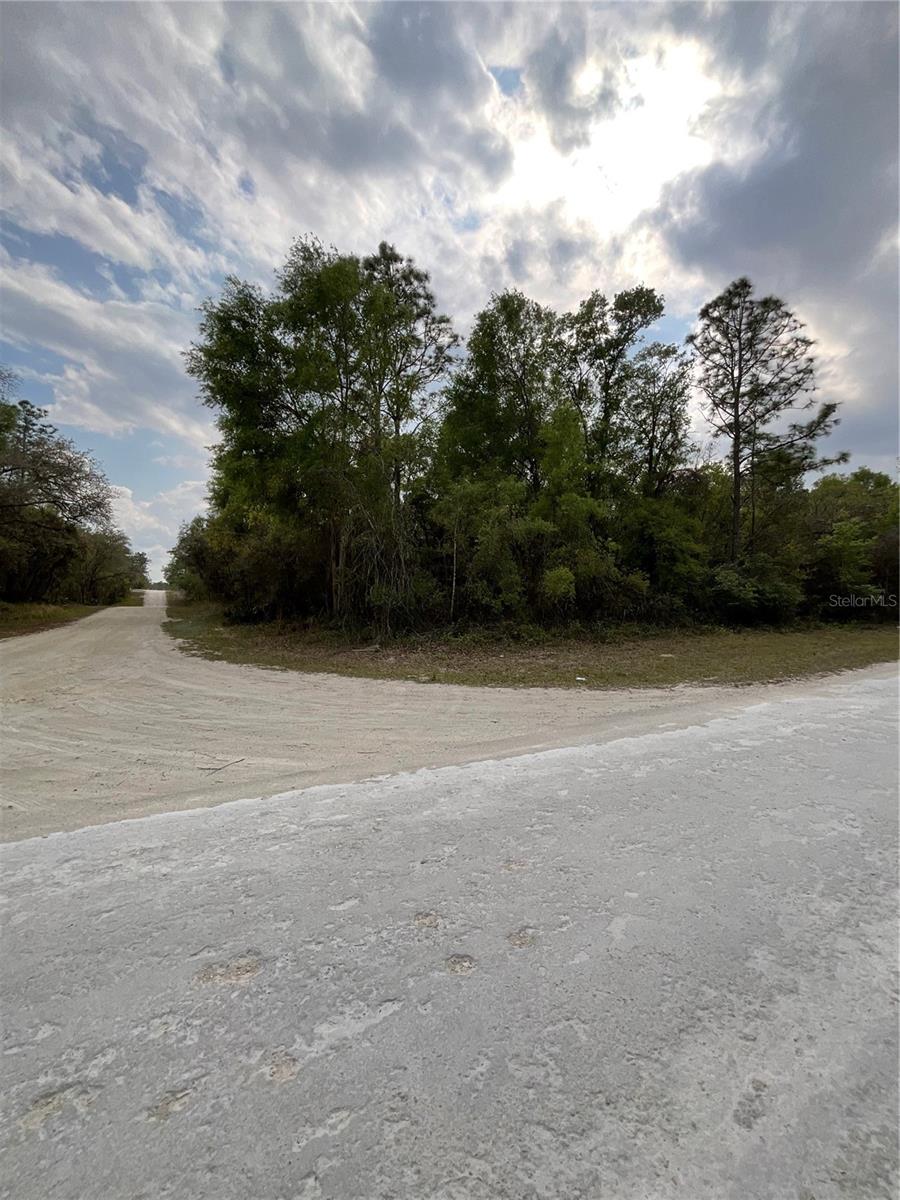 FORGE DR, WEBSTER, FL, 33597