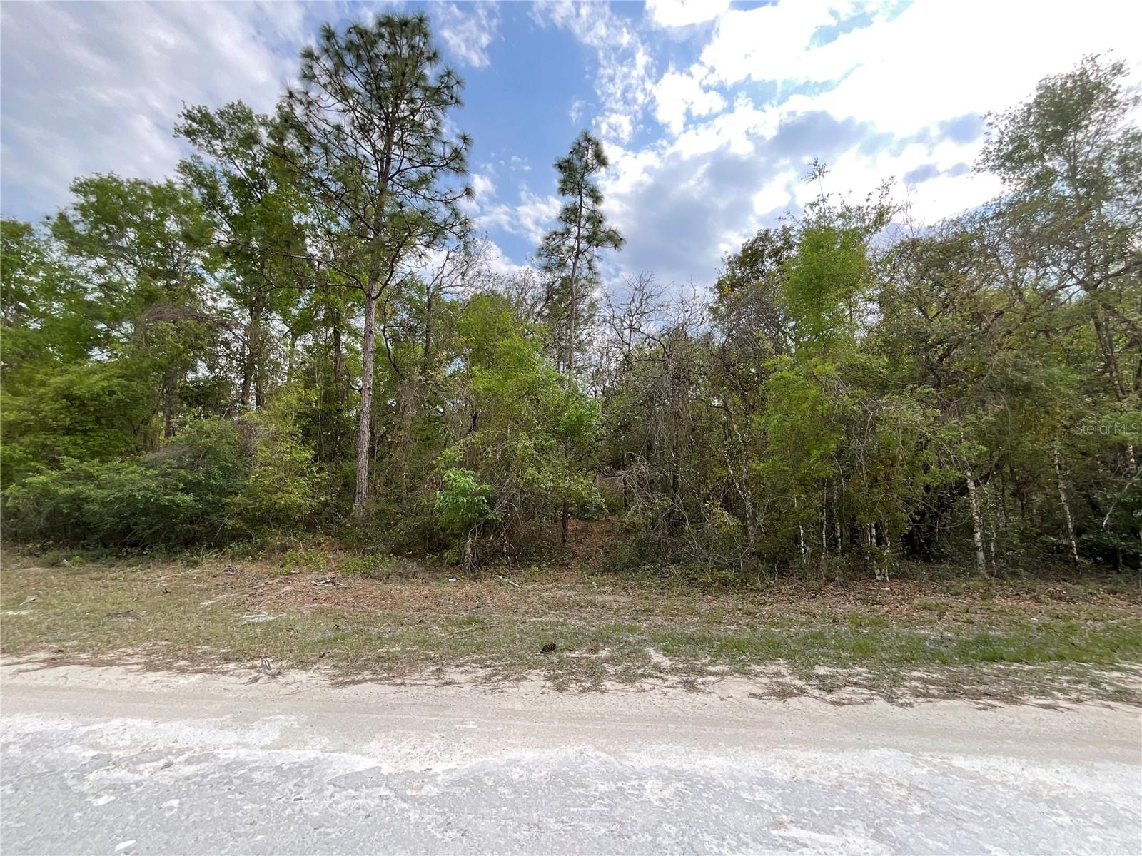 FORGE DR, WEBSTER, FL, 33597