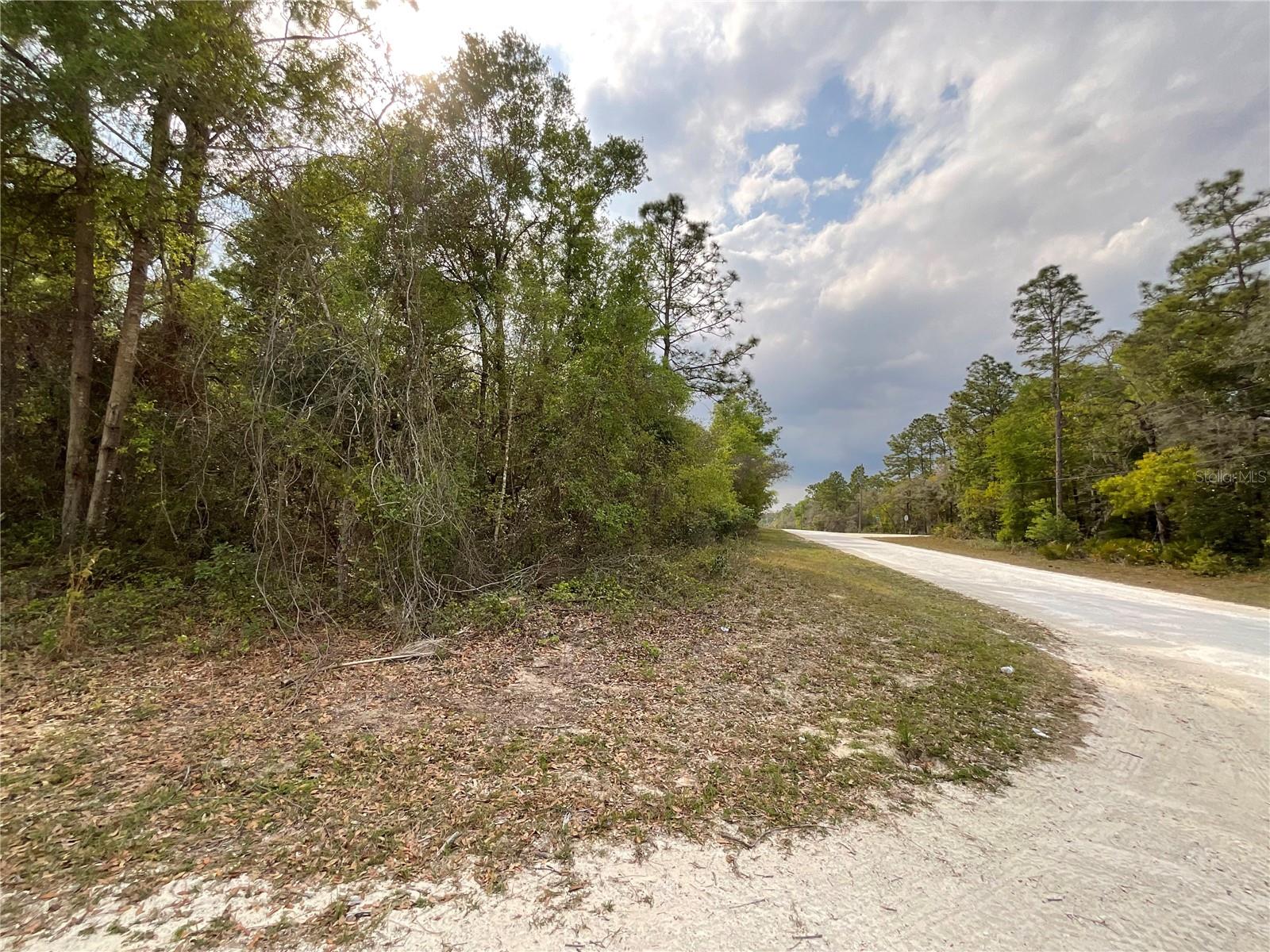 FORGE DR, WEBSTER, FL, 33597