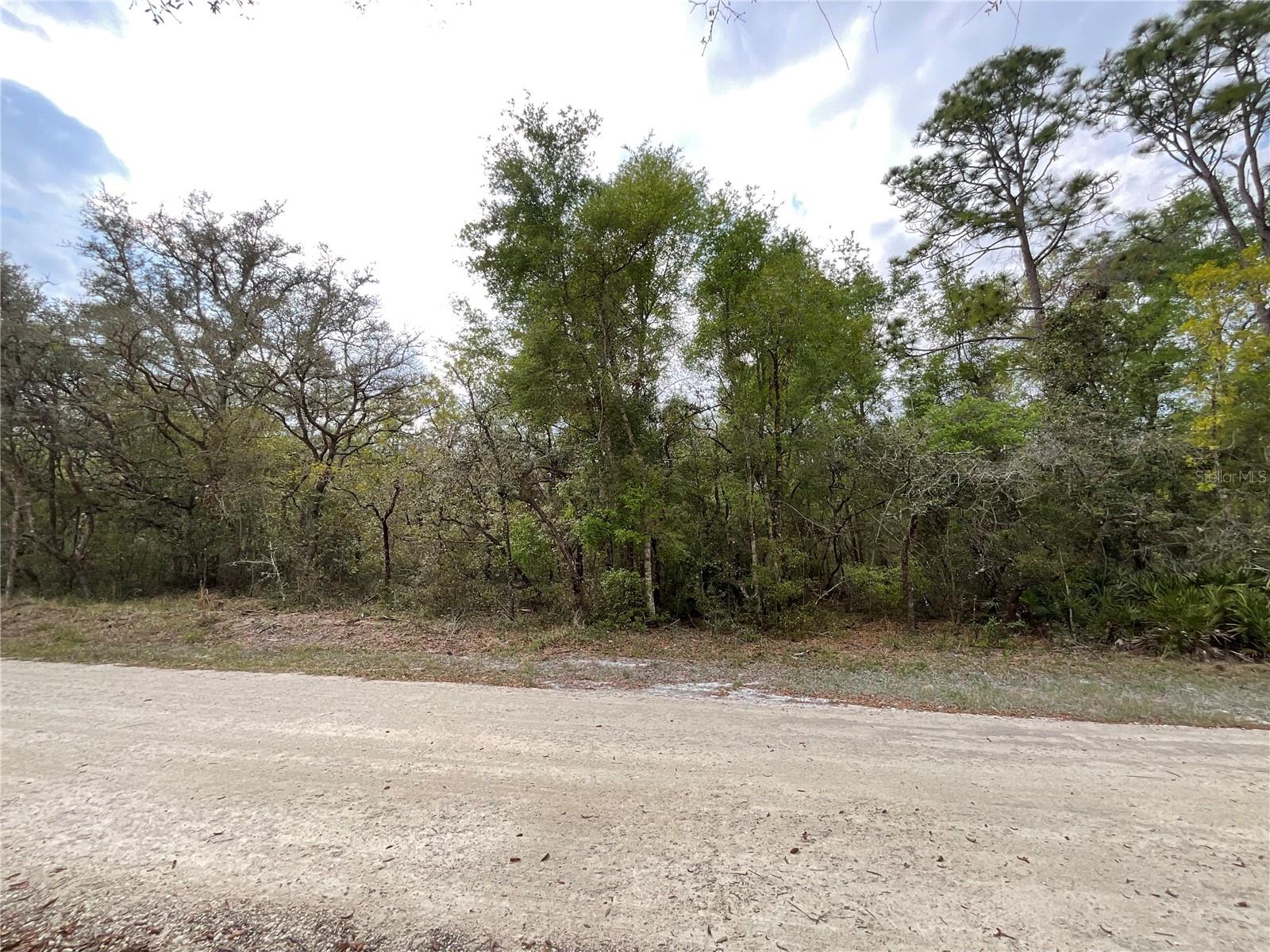 FORGE DR, WEBSTER, FL, 33597