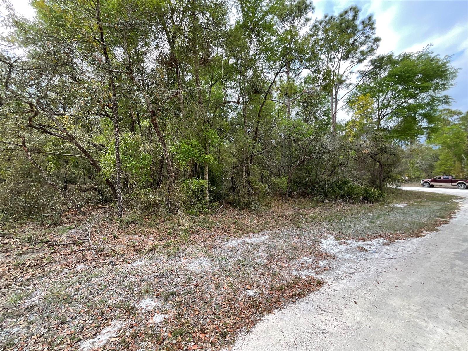FORGE DR, WEBSTER, FL, 33597