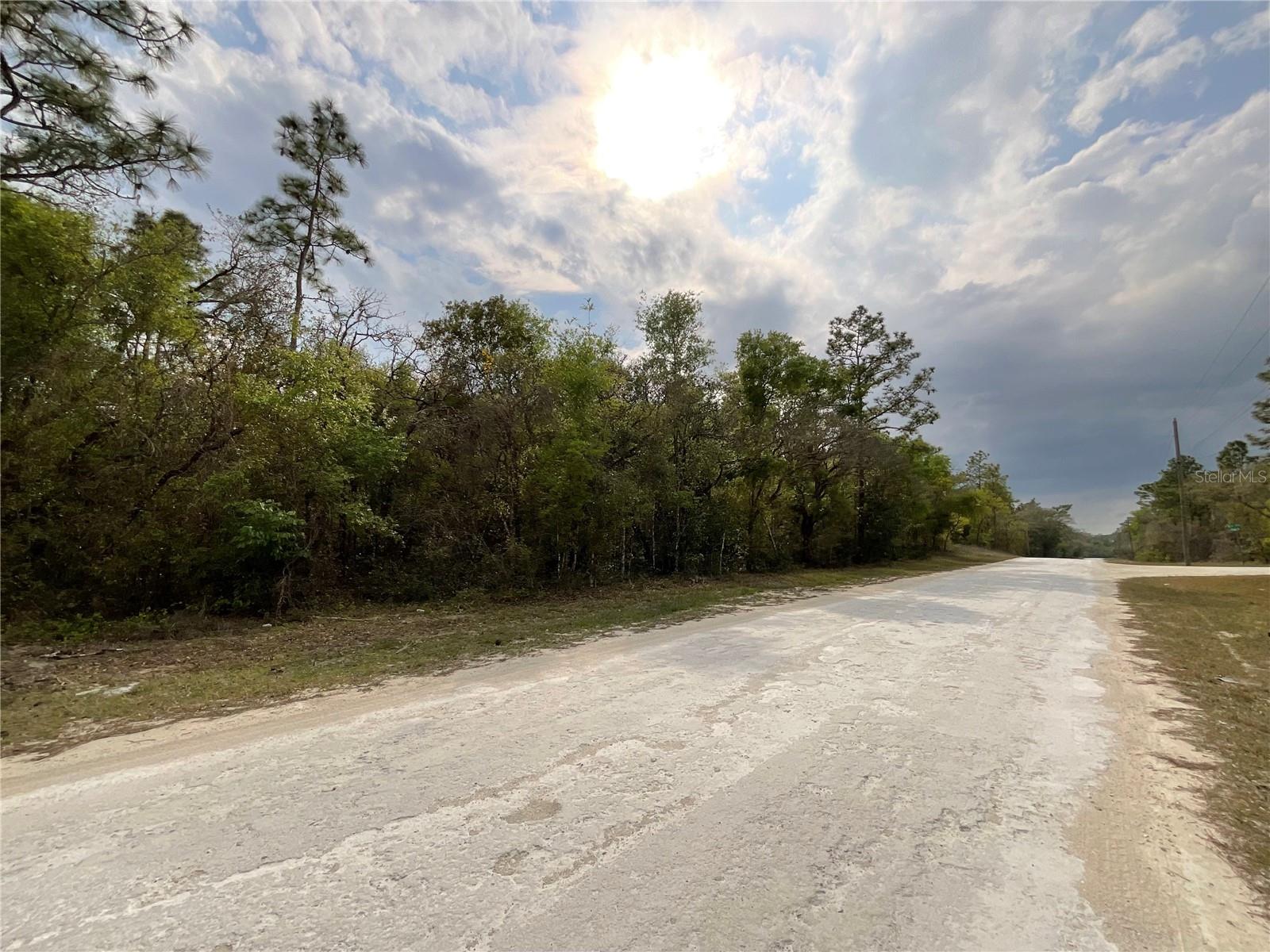 FORGE DR, WEBSTER, FL, 33597