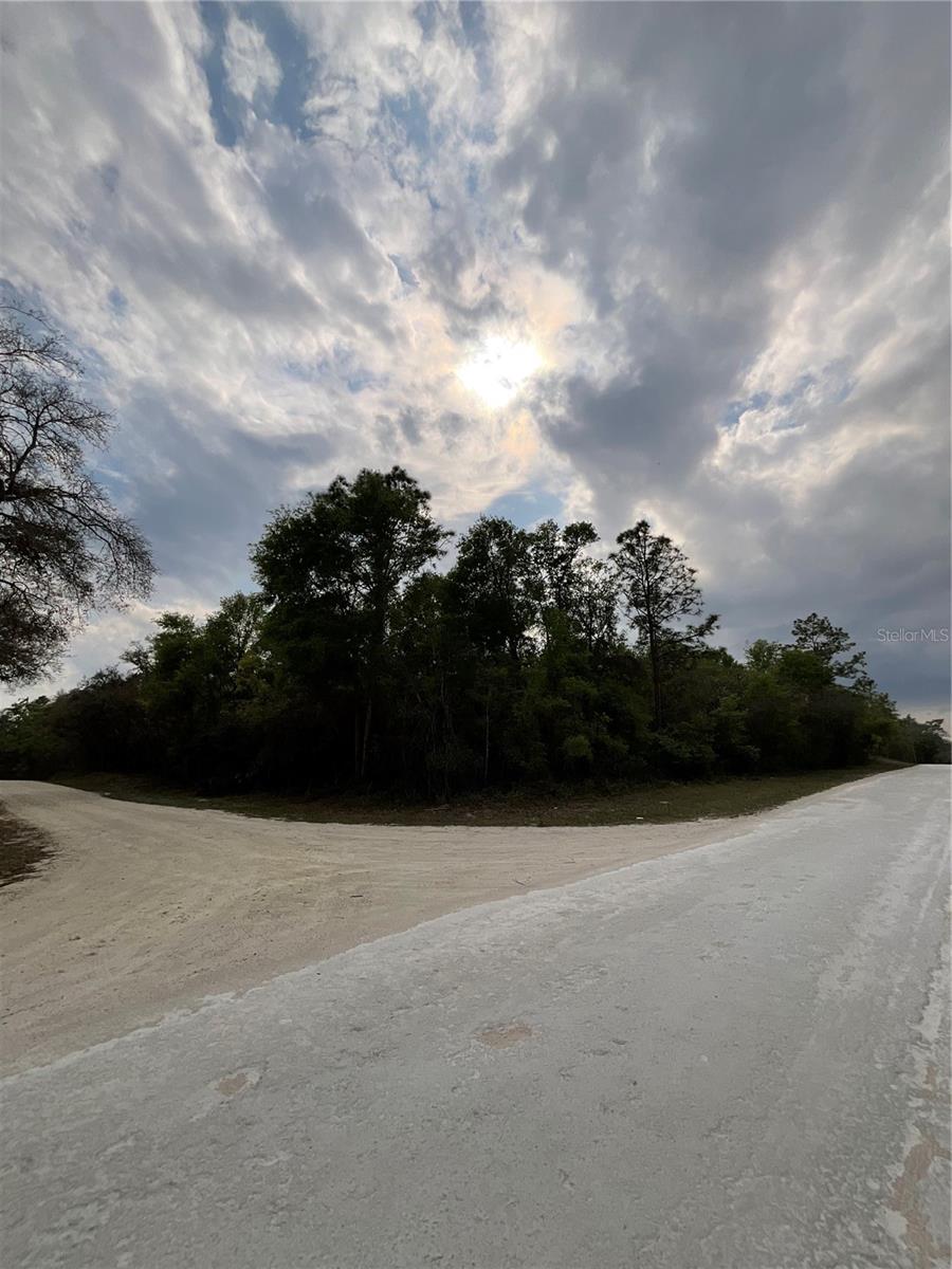 FORGE DR, WEBSTER, FL, 33597