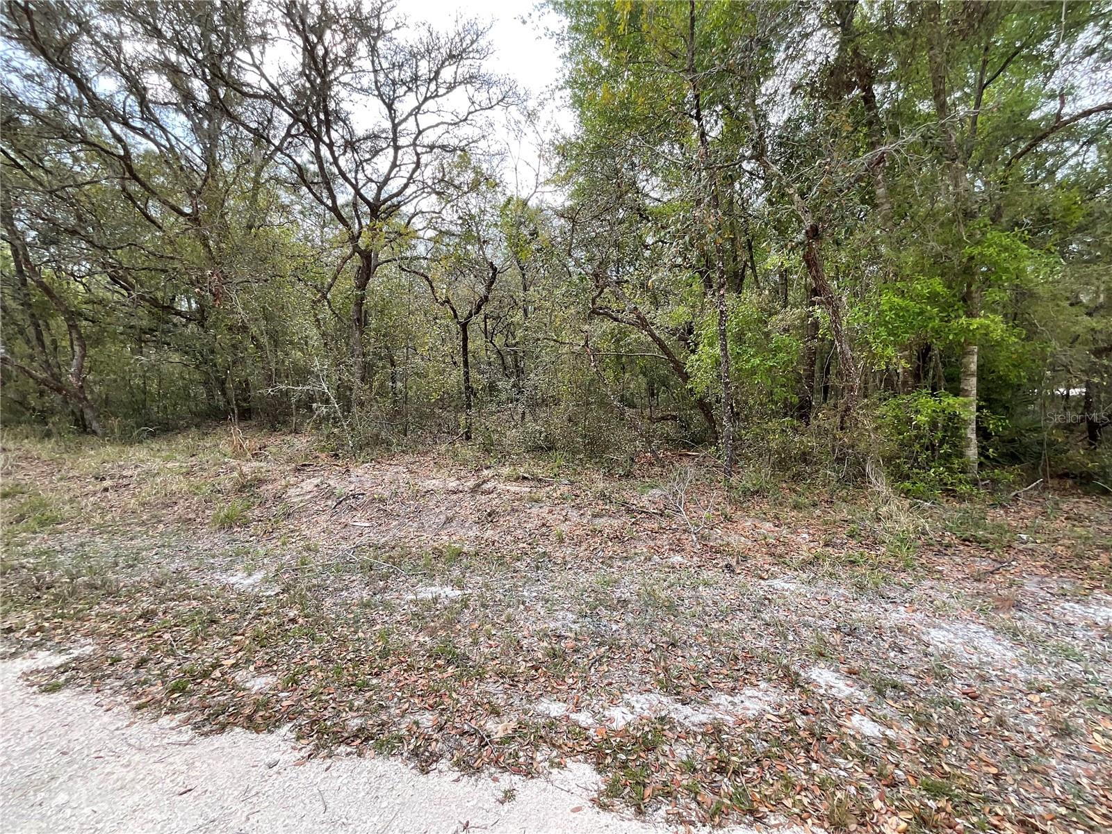FORGE DR, WEBSTER, FL, 33597